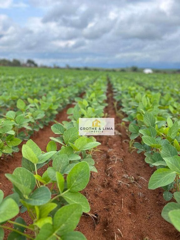 Farm of 3.169 acres in Araguaína, TO, Brazil