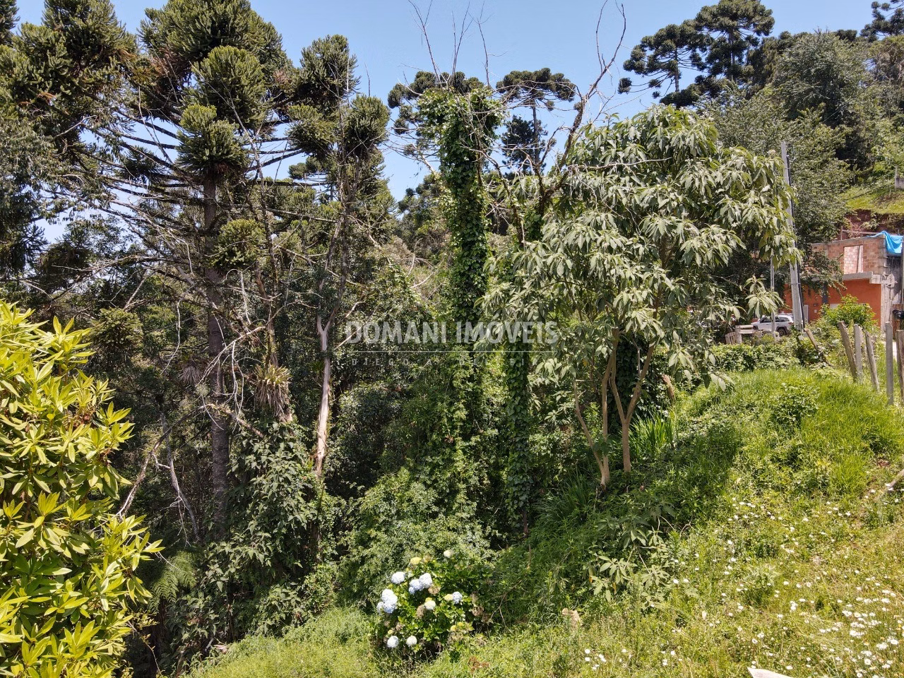 Terreno de 450 m² em Campos do Jordão, SP