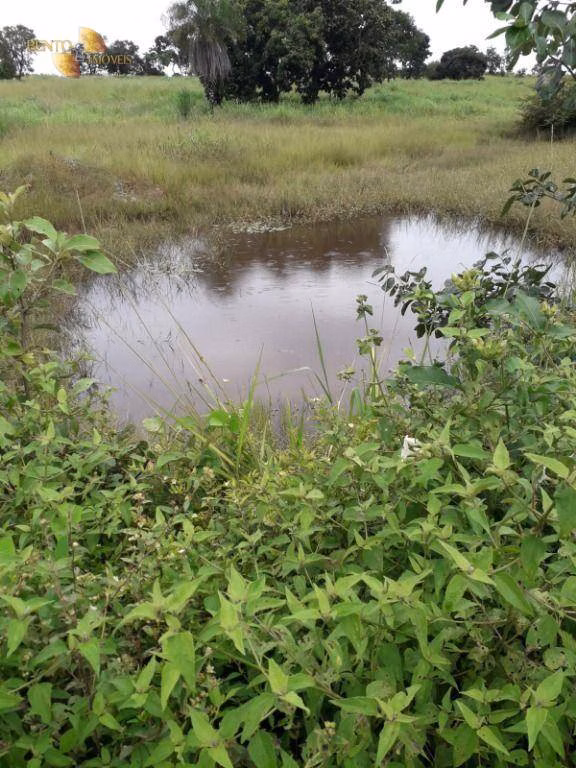 Farm of 1.273 acres in Nossa Senhora do Livramento, MT, Brazil