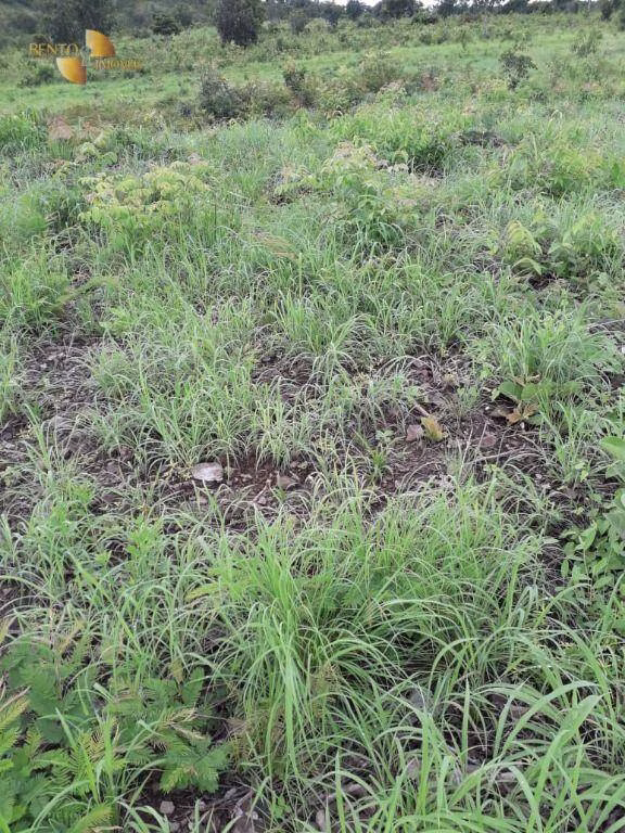 Farm of 1.273 acres in Nossa Senhora do Livramento, MT, Brazil