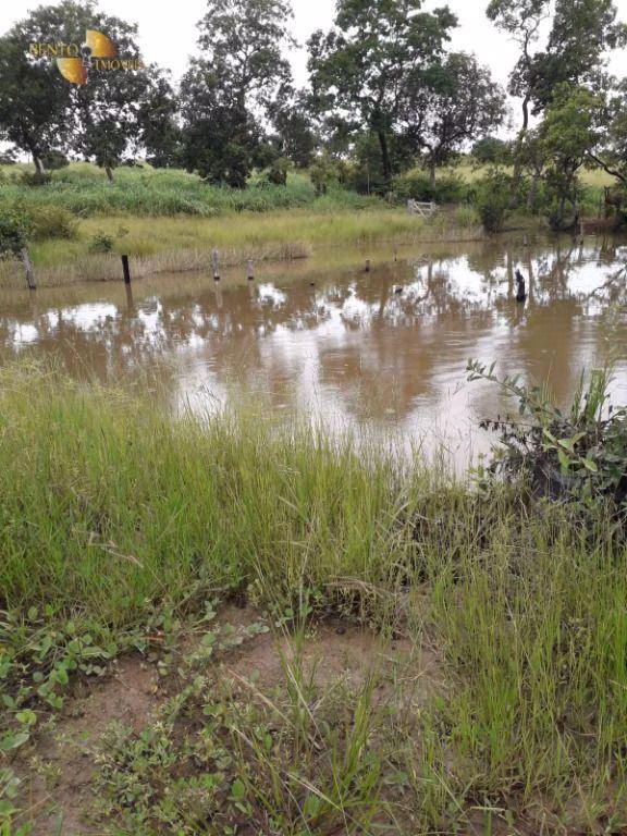 Fazenda de 515 ha em Nossa Senhora do Livramento, MT