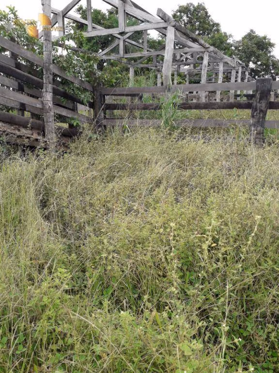 Fazenda de 515 ha em Nossa Senhora do Livramento, MT