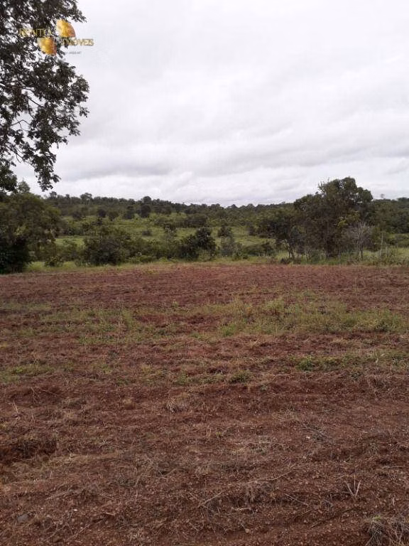 Fazenda de 515 ha em Nossa Senhora do Livramento, MT