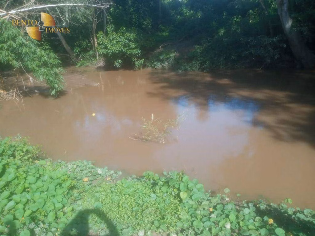 Fazenda de 515 ha em Nossa Senhora do Livramento, MT
