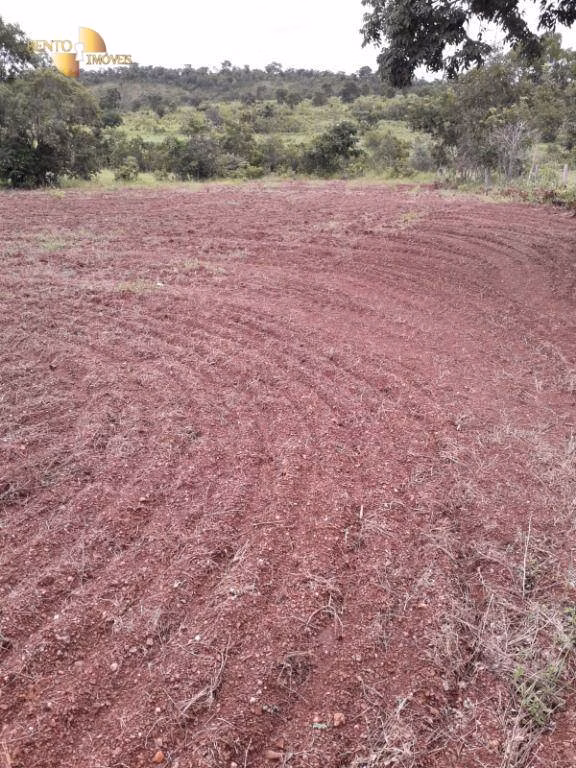 Fazenda de 515 ha em Nossa Senhora do Livramento, MT