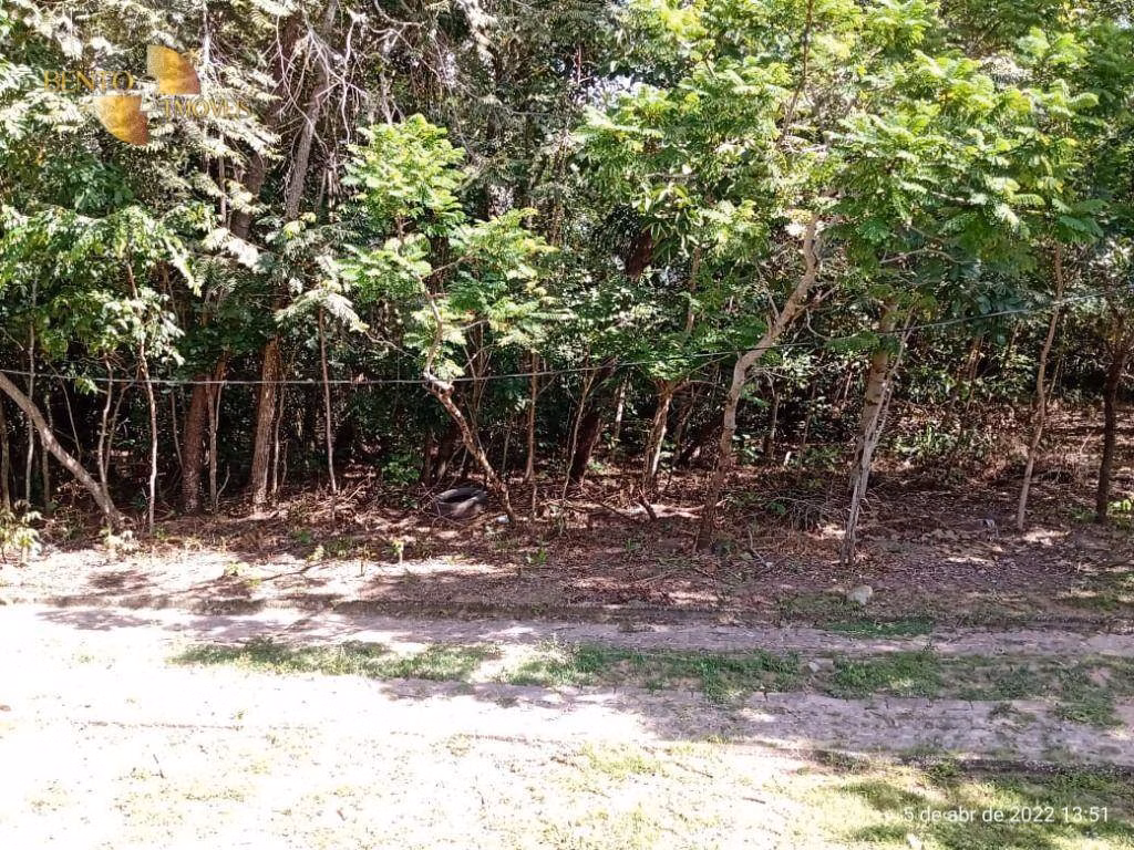 Fazenda de 146 ha em Cuiabá, MT