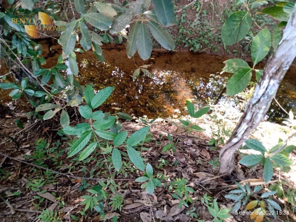 Fazenda de 146 ha em Cuiabá, MT