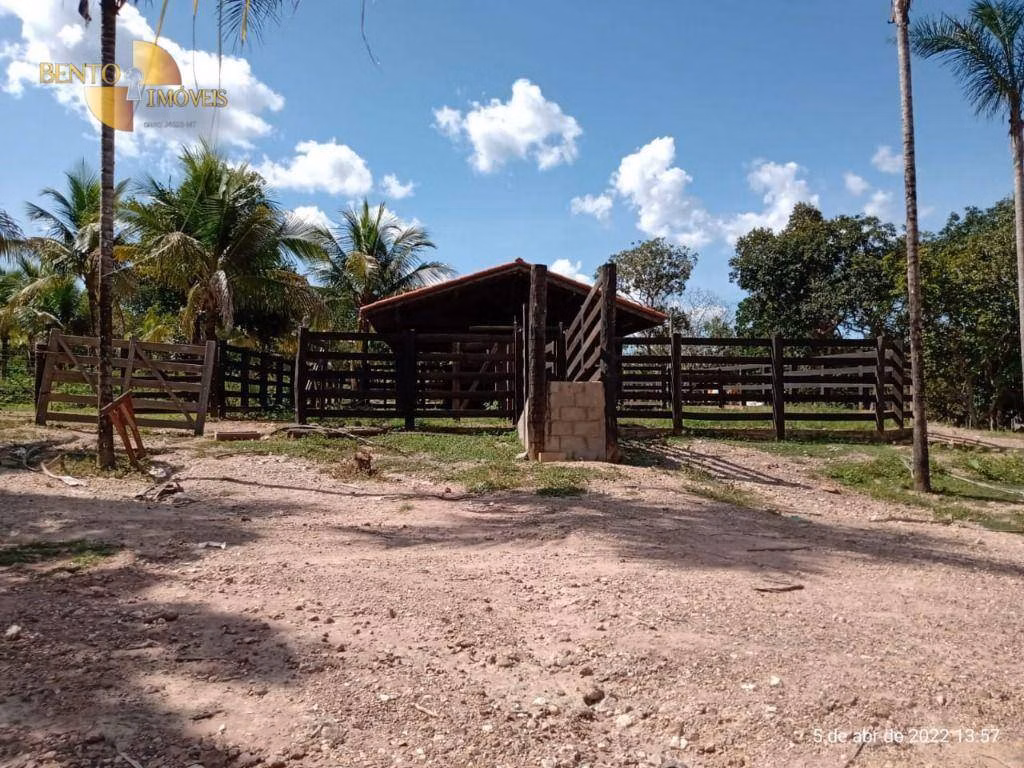 Fazenda de 146 ha em Cuiabá, MT