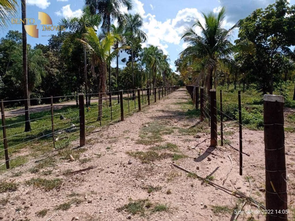 Fazenda de 146 ha em Cuiabá, MT