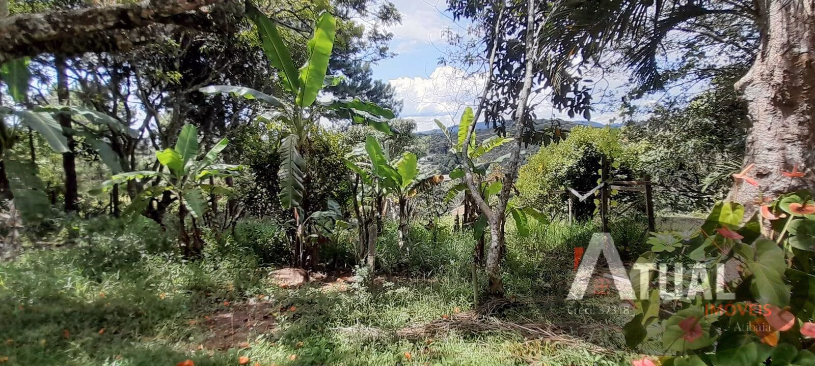Chácara de 3 ha em Mairiporã, SP