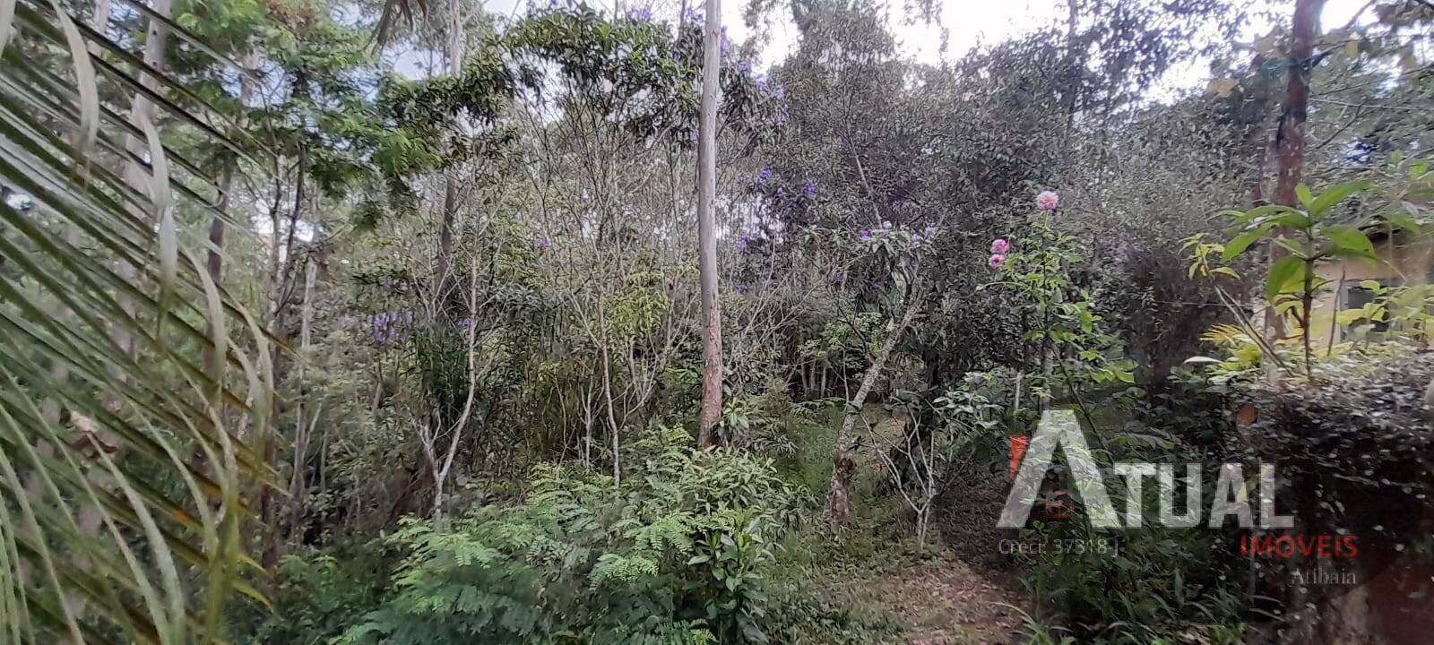 Chácara de 3 ha em Mairiporã, SP