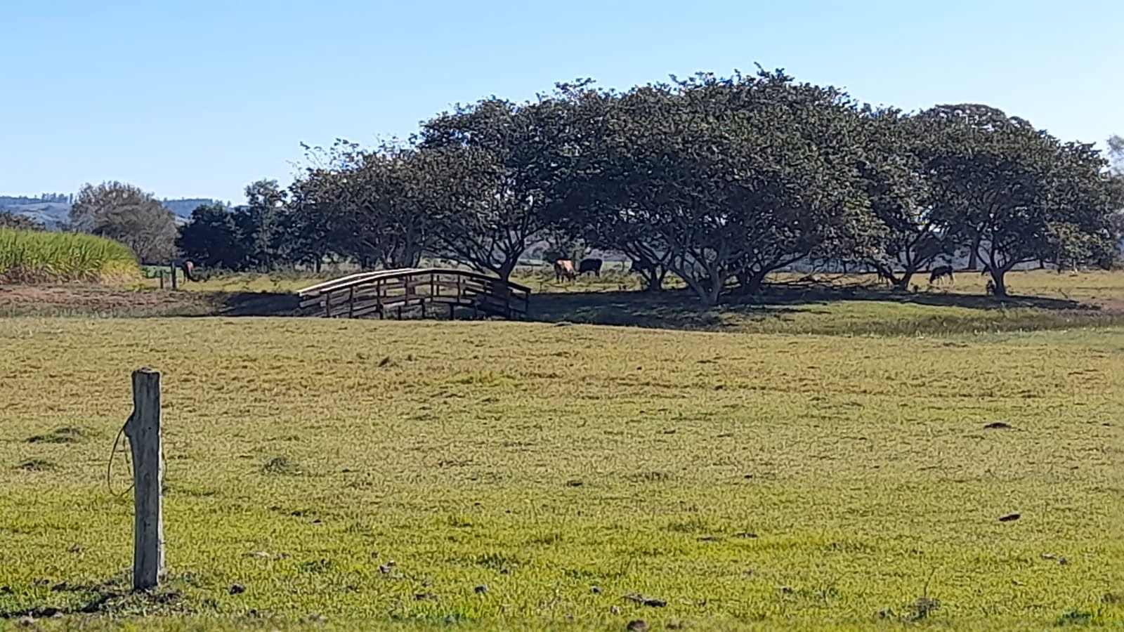 Small farm of 158 acres in Itapetininga, SP, Brazil