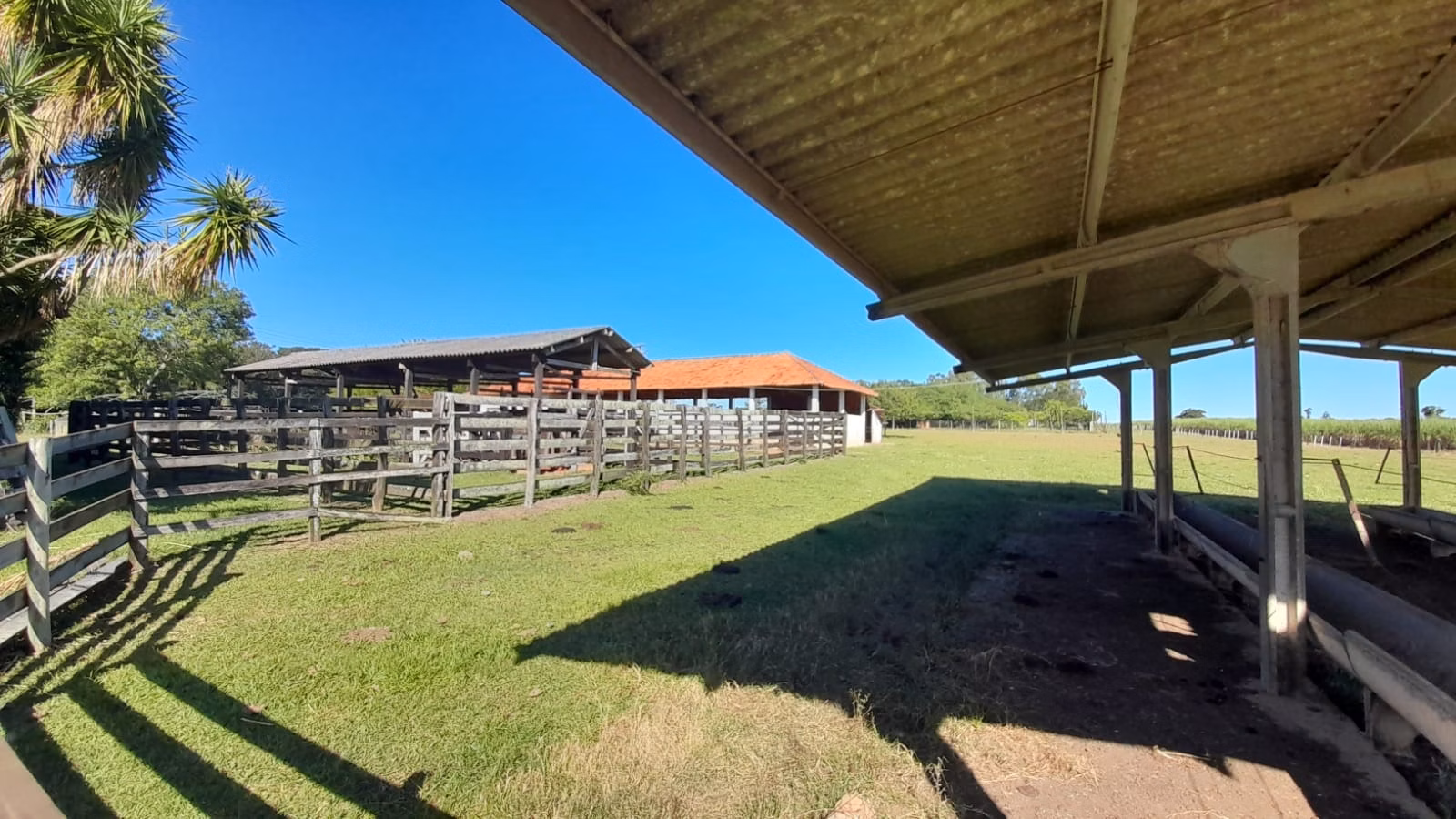 Small farm of 158 acres in Itapetininga, SP, Brazil