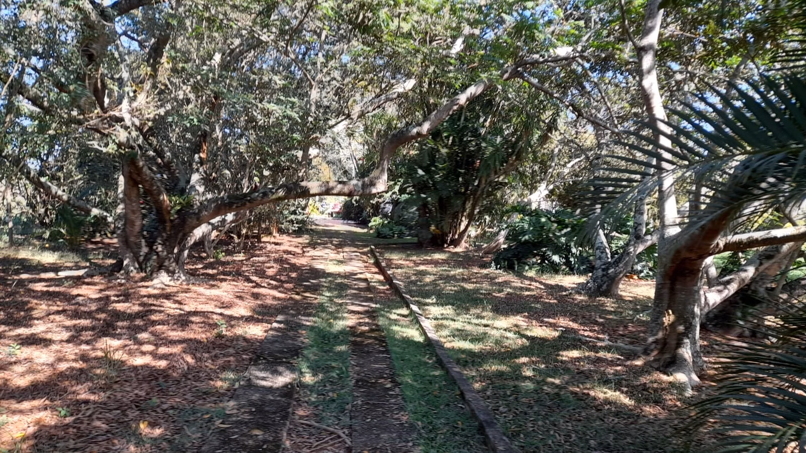 Small farm of 158 acres in Itapetininga, SP, Brazil