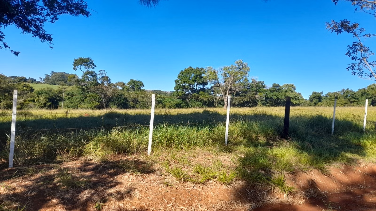 Small farm of 158 acres in Itapetininga, SP, Brazil