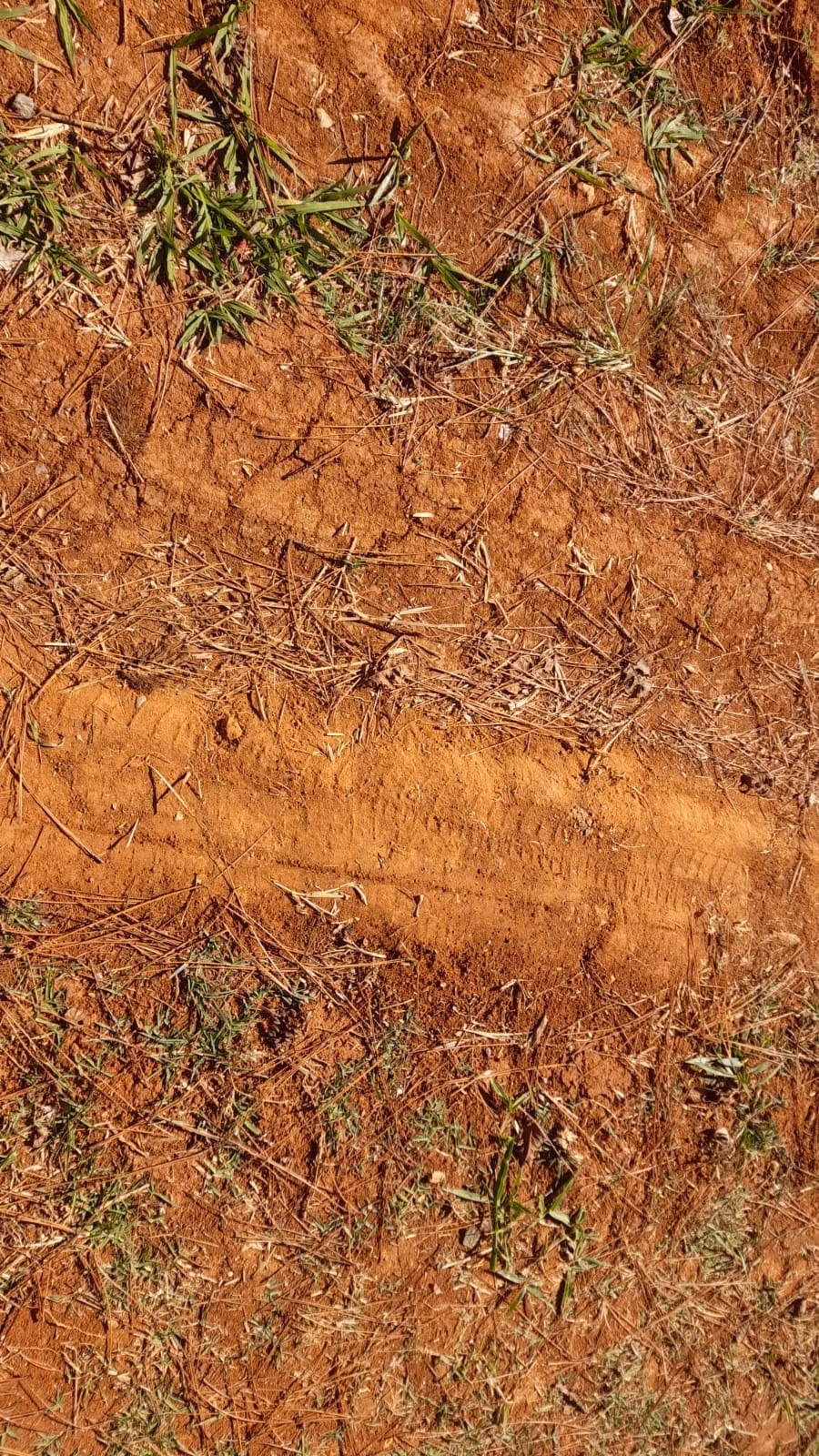 Small farm of 158 acres in Itapetininga, SP, Brazil