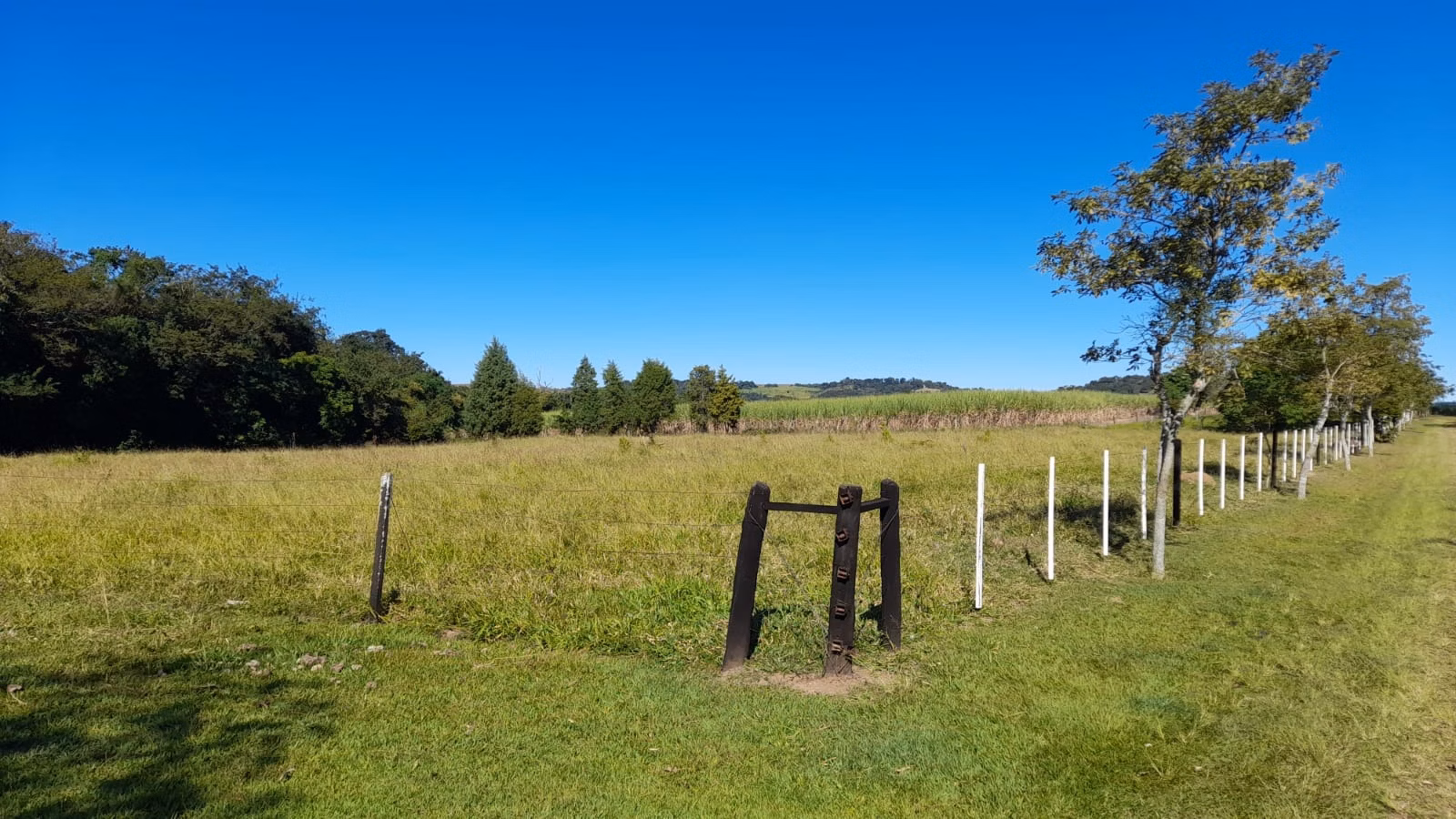 Small farm of 158 acres in Itapetininga, SP, Brazil