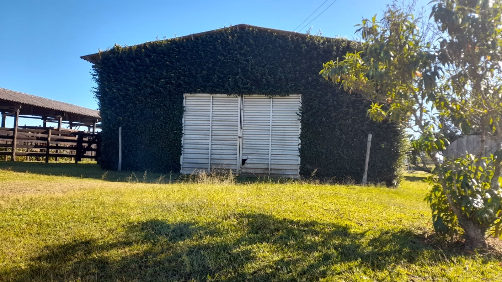 Sítio de 64 ha em Itapetininga, SP