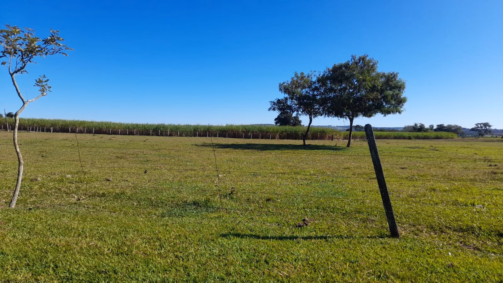 Small farm of 158 acres in Itapetininga, SP, Brazil