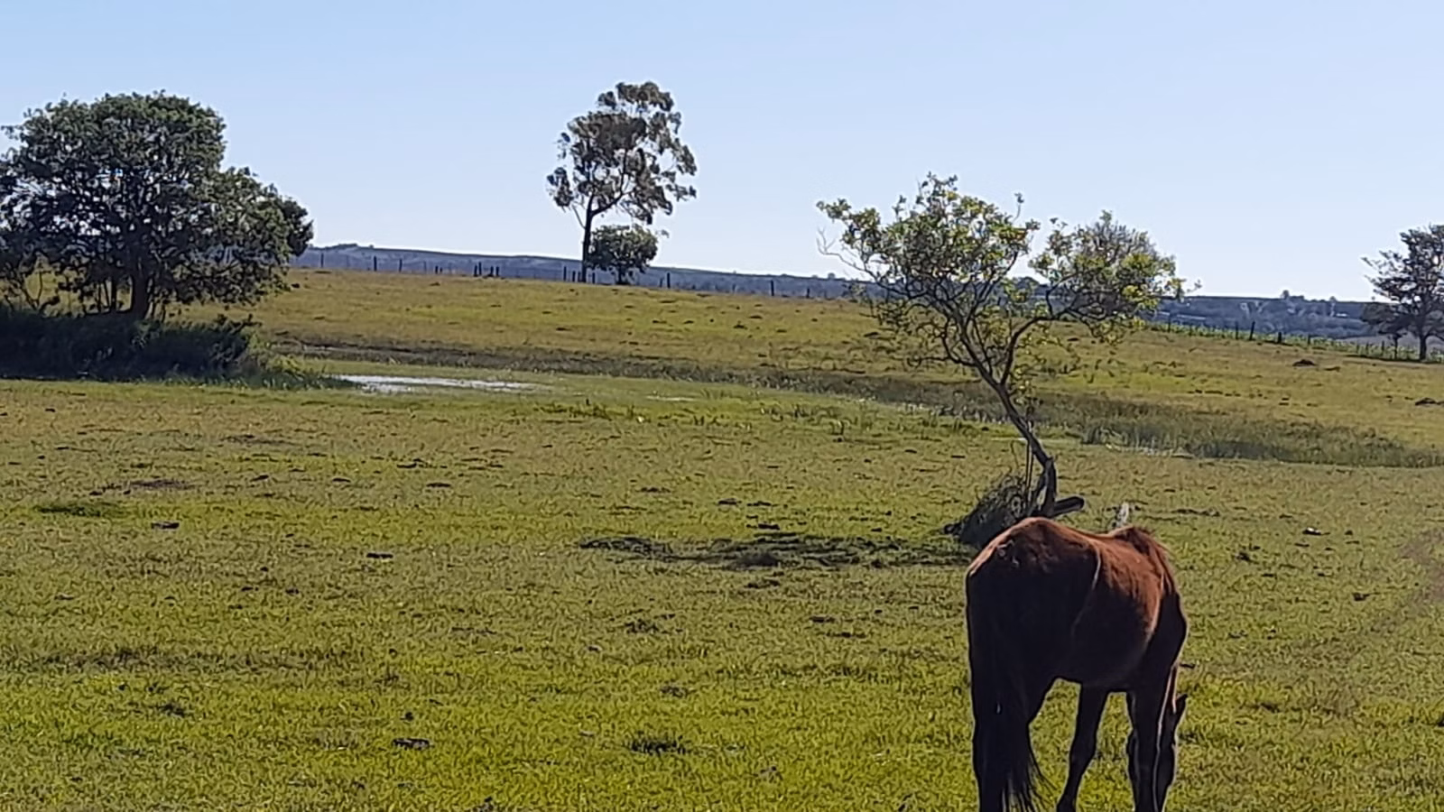 Small farm of 158 acres in Itapetininga, SP, Brazil