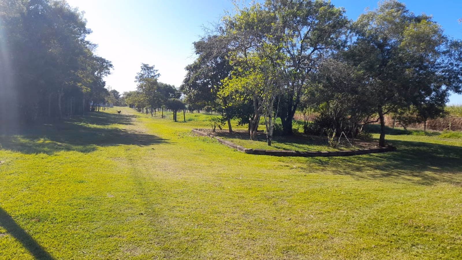 Small farm of 158 acres in Itapetininga, SP, Brazil