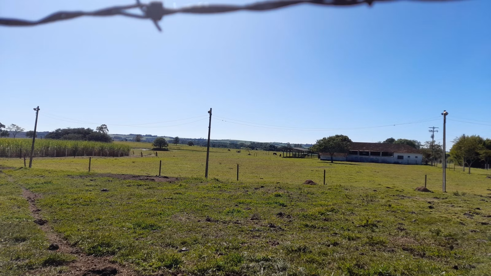 Small farm of 158 acres in Itapetininga, SP, Brazil