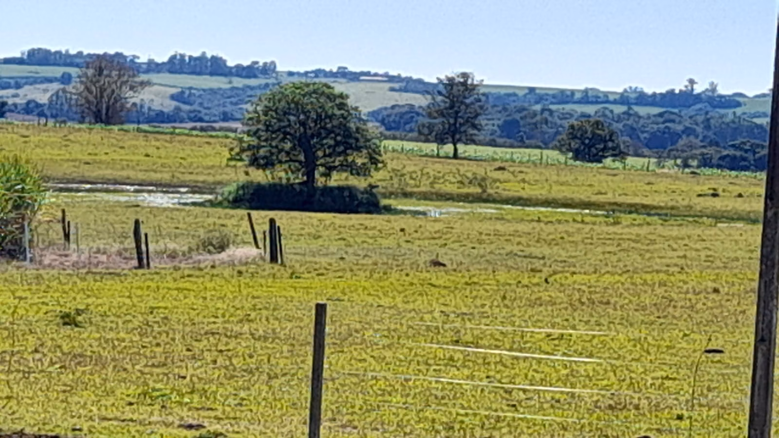 Small farm of 158 acres in Itapetininga, SP, Brazil