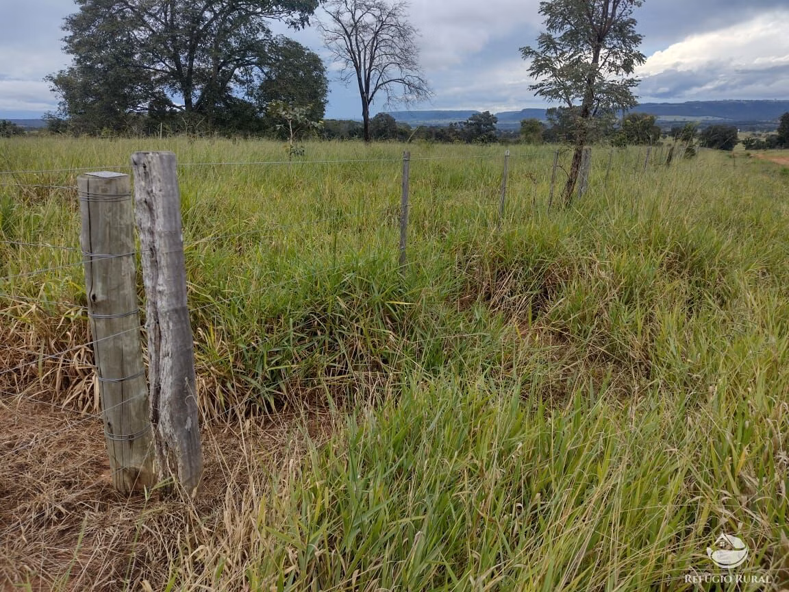 Fazenda de 8.733 ha em Serranópolis, GO