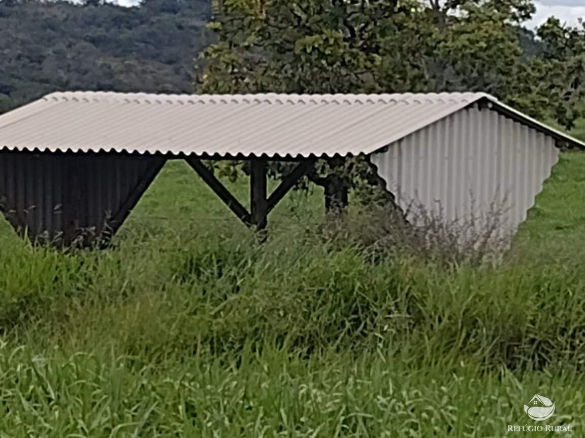 Fazenda de 8.733 ha em Serranópolis, GO