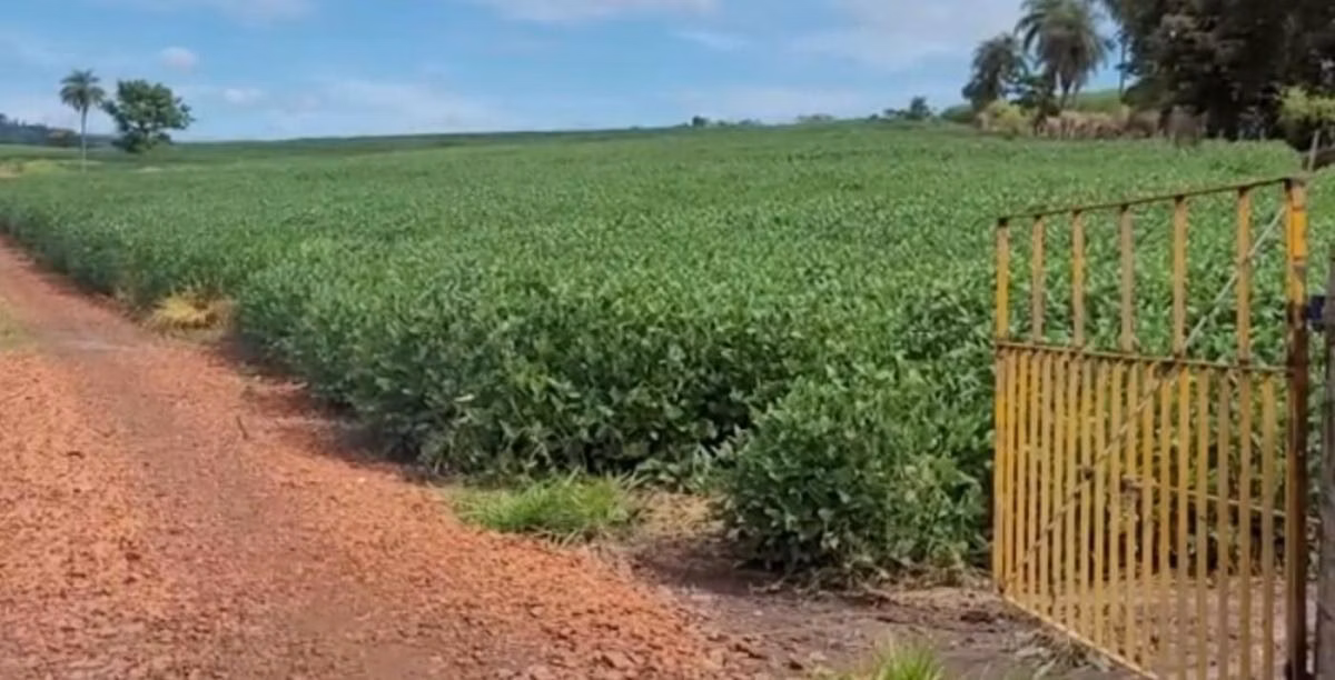 Small farm for sale of 90 acres in Santa Rita do Passa Quatro, SP, Brazil
