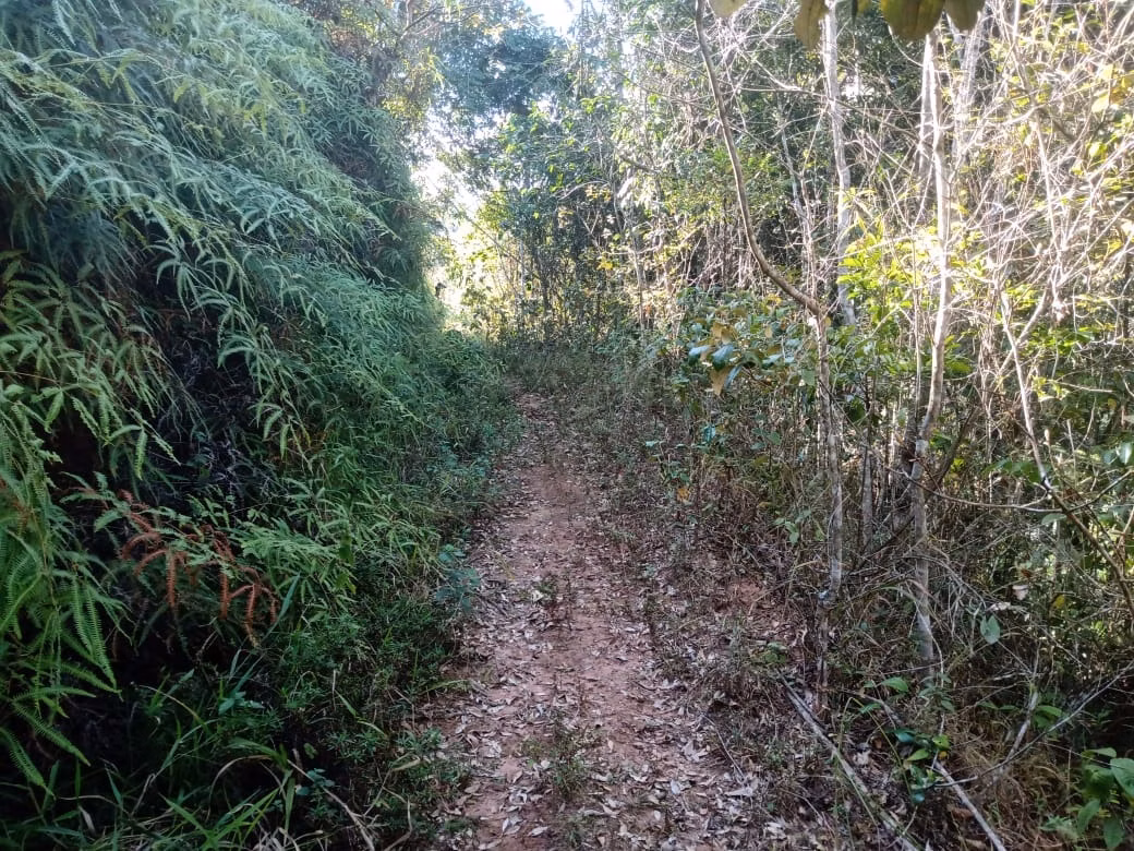 Sítio de 17 ha em São José dos Campos, SP