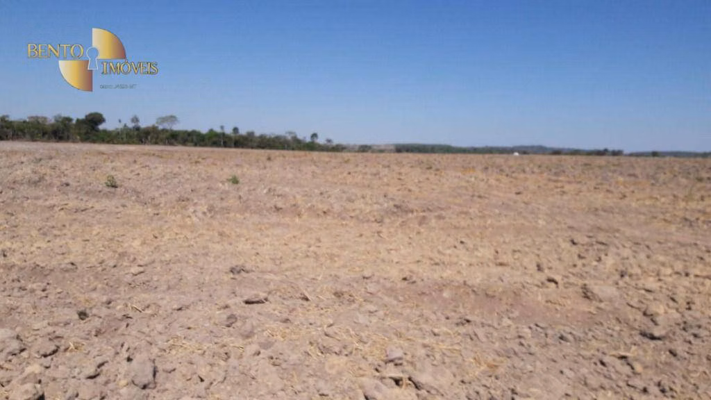 Fazenda de 1.161 ha em Terra Nova do Norte, MT