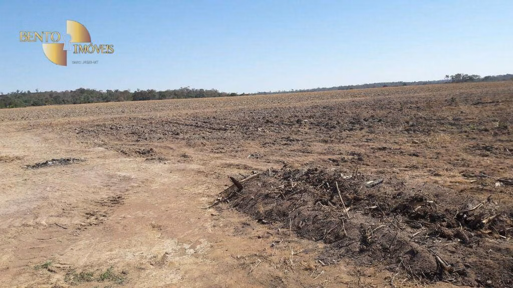 Fazenda de 1.161 ha em Terra Nova do Norte, MT