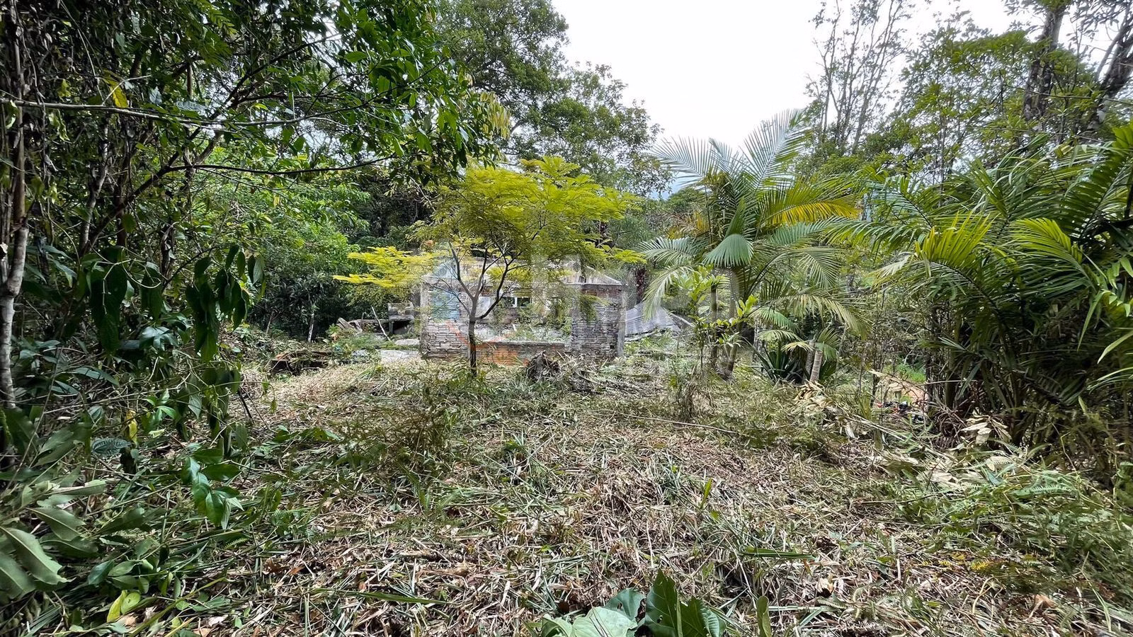 Fazenda de 4 ha em Canelinha, SC