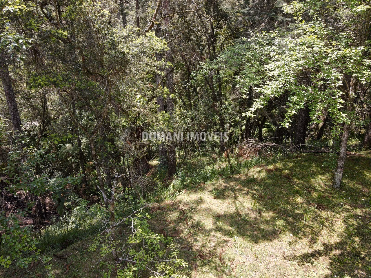 House of 1 acres in Campos do Jordão, SP, Brazil