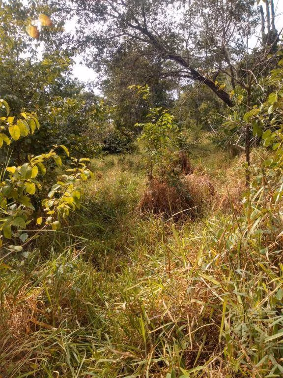 Fazenda de 240 ha em Tesouro, MT