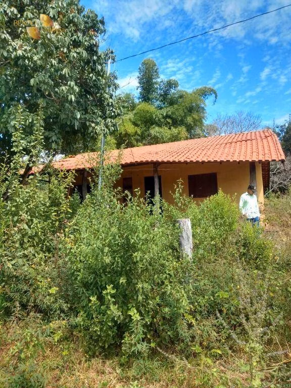 Fazenda de 240 ha em Tesouro, MT