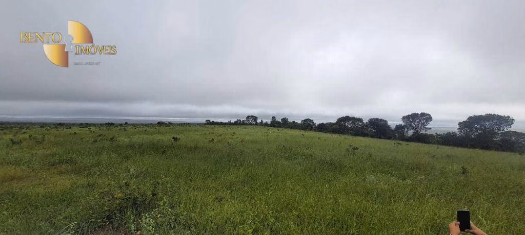 Fazenda de 1.210 ha em Primavera do Leste, MT
