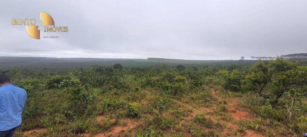 Fazenda de 1.210 ha em Primavera do Leste, MT