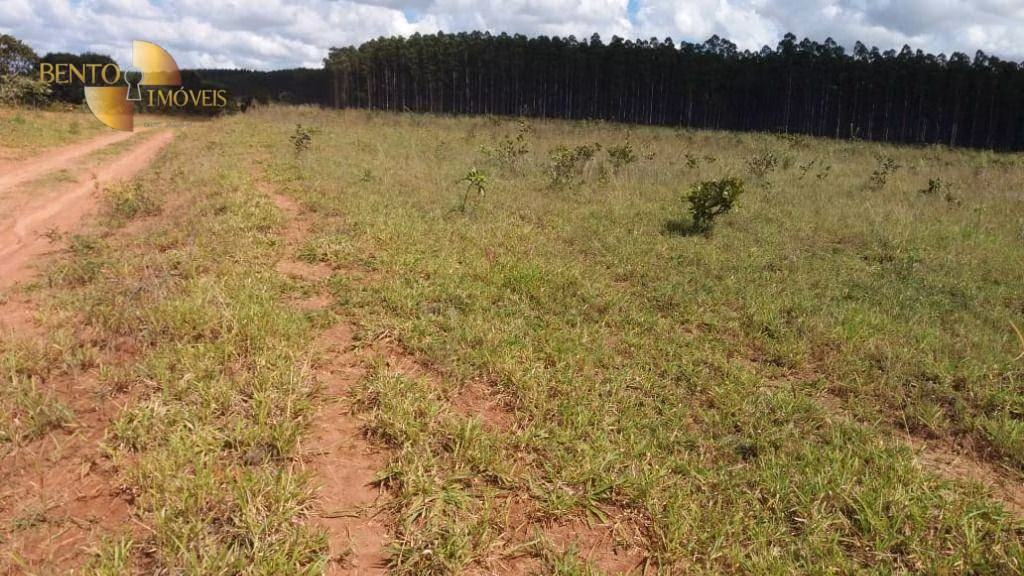 Fazenda de 1.210 ha em Primavera do Leste, MT