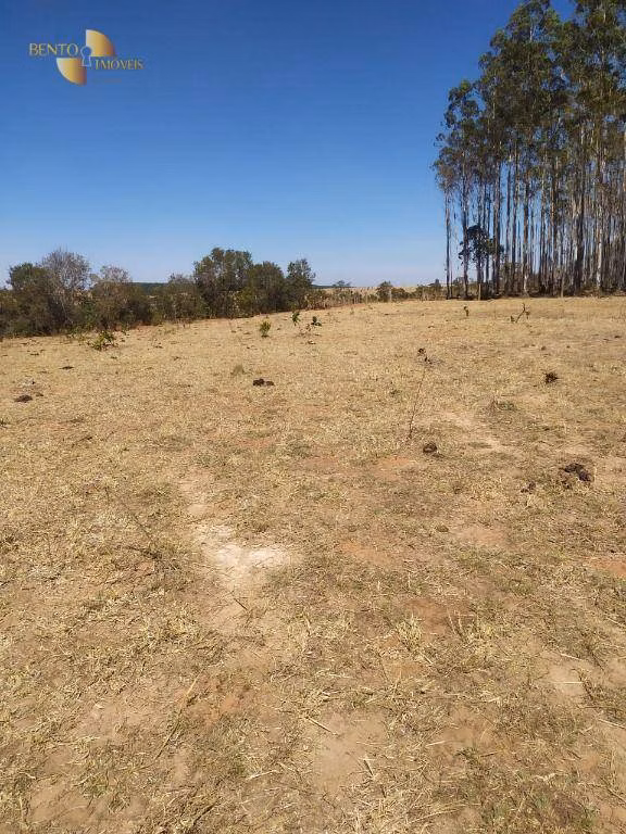 Fazenda de 1.210 ha em Primavera do Leste, MT