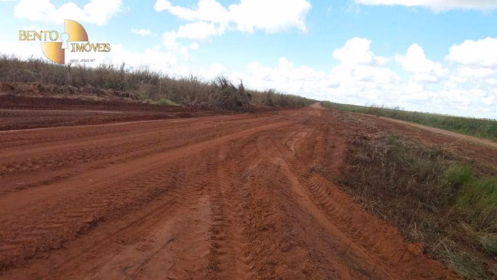Fazenda de 1.210 ha em Primavera do Leste, MT