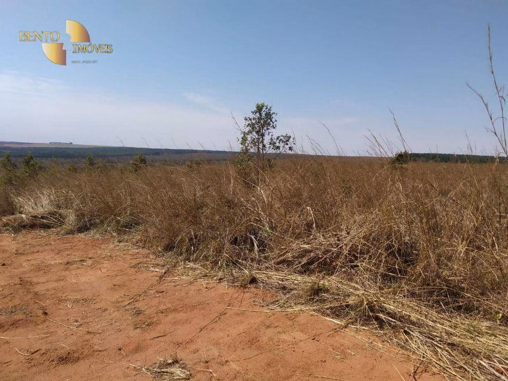 Fazenda de 1.210 ha em Primavera do Leste, MT
