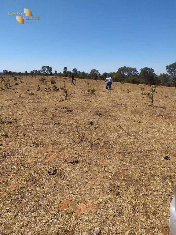 Fazenda de 1.210 ha em Primavera do Leste, MT