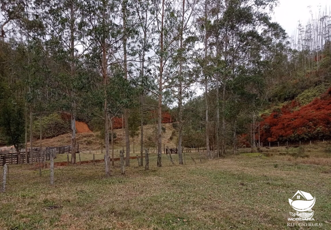 Fazenda de 279 ha em São José dos Campos, SP