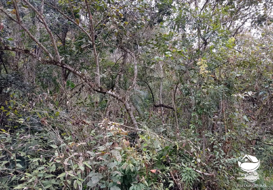 Fazenda de 279 ha em São José dos Campos, SP