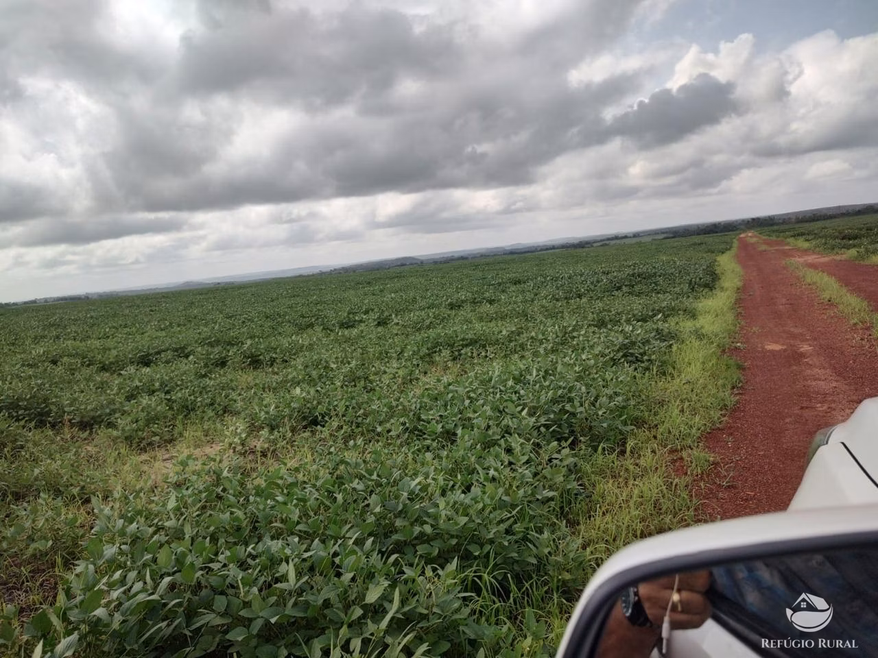 Fazenda de 4.694 ha em Paraíso do Tocantins, TO