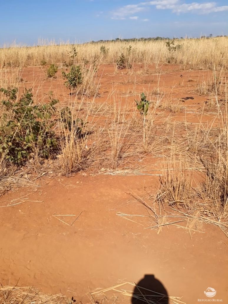 Fazenda de 4.694 ha em Paraíso do Tocantins, TO