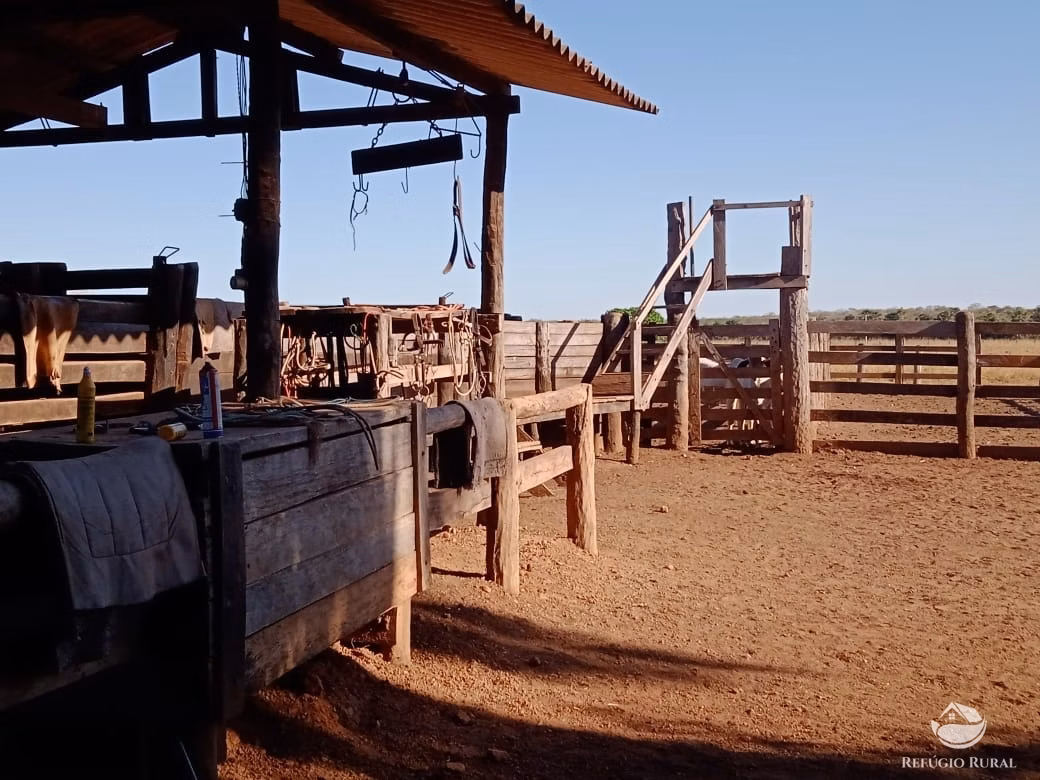 Fazenda de 4.694 ha em Paraíso do Tocantins, TO