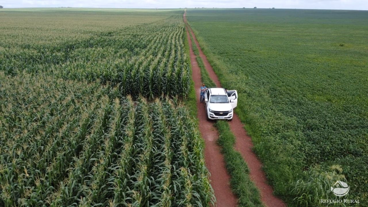 Fazenda de 4.694 ha em Paraíso do Tocantins, TO